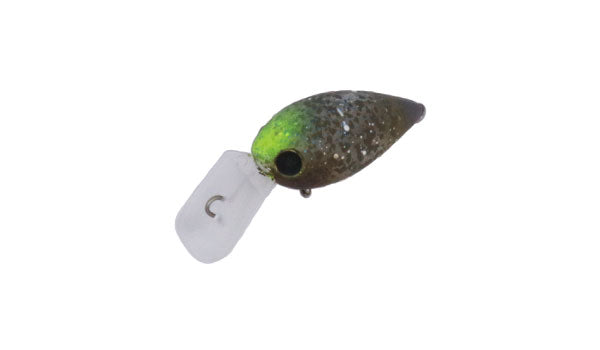 Pico ChatteCra MD - Daysprout