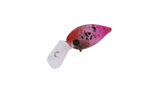 Pico ChatteCra MD - Daysprout