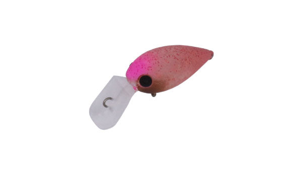 Pico ChatteCra MD - Daysprout