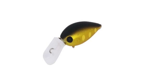 Pico ChatteCra MD - Daysprout