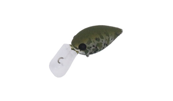 Pico ChatteCra MD - Daysprout