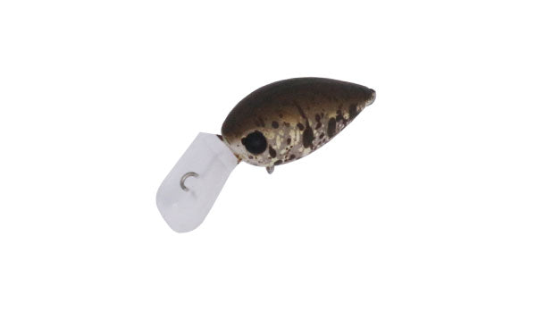 Pico ChatteCra MD - Daysprout