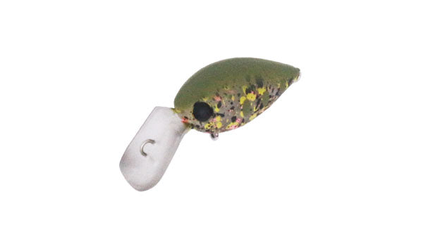 Pico ChatteCra MD - Daysprout
