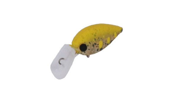 Pico ChatteCra MD - Daysprout