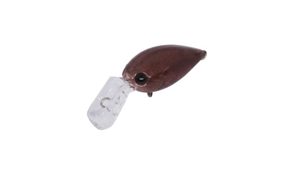Pico ChatteCra MD - Daysprout