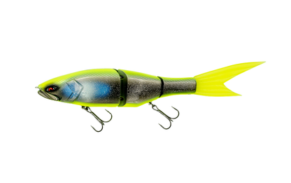 Grace 240F - Galápagos