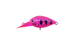 ChatteCra DR CR Tune - Daysprout