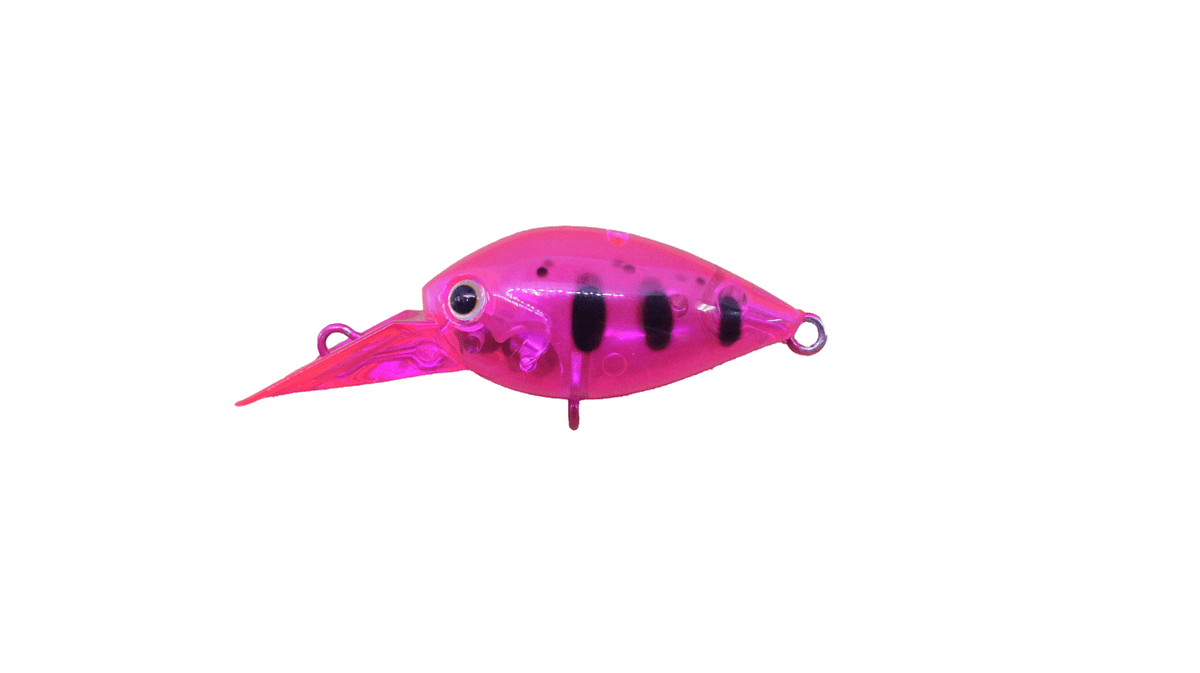 ChatteCra DR CR Tune - Daysprout