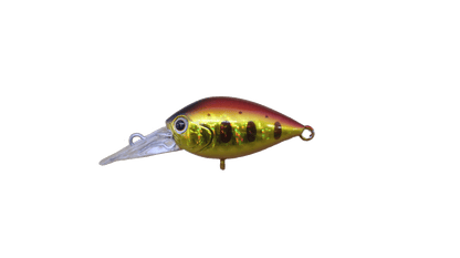 ChatteCra DR CR Tune - Daysprout