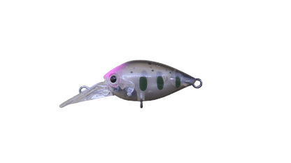 ChatteCra DR CR Tune - Daysprout