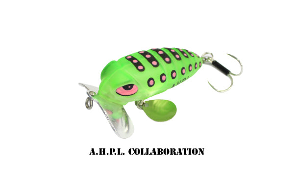 Jeffrey AHPL - Daysprout