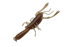 EBISON MOMMY 4.1inch - DSTYLE