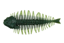 GEELACANTH 4.0inch - DSTYLE