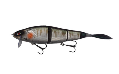 Grace 210L - Galápagos