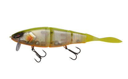 Grace 210L - Galápagos