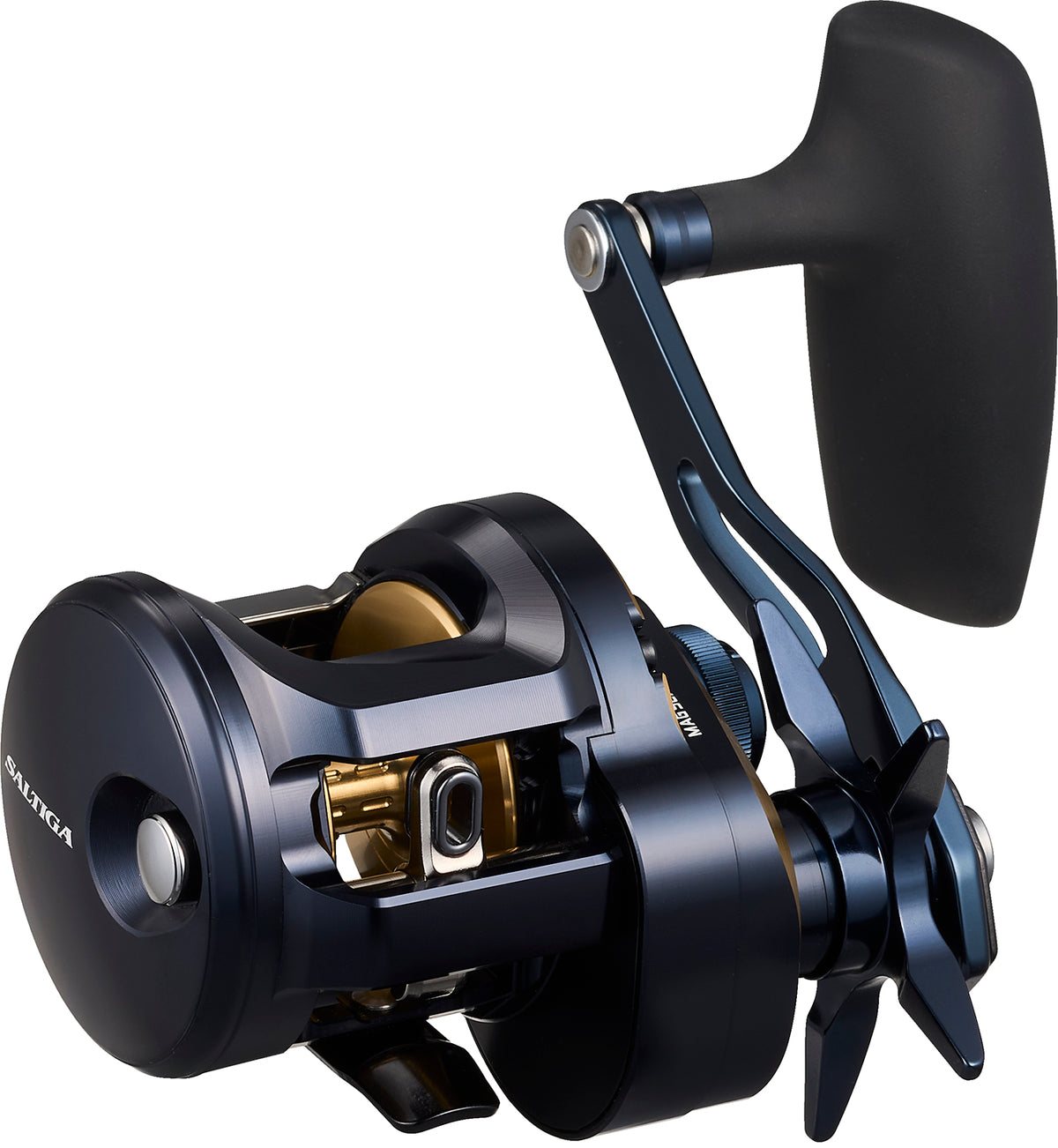 SALTIGA 300 (25) - DAIWA