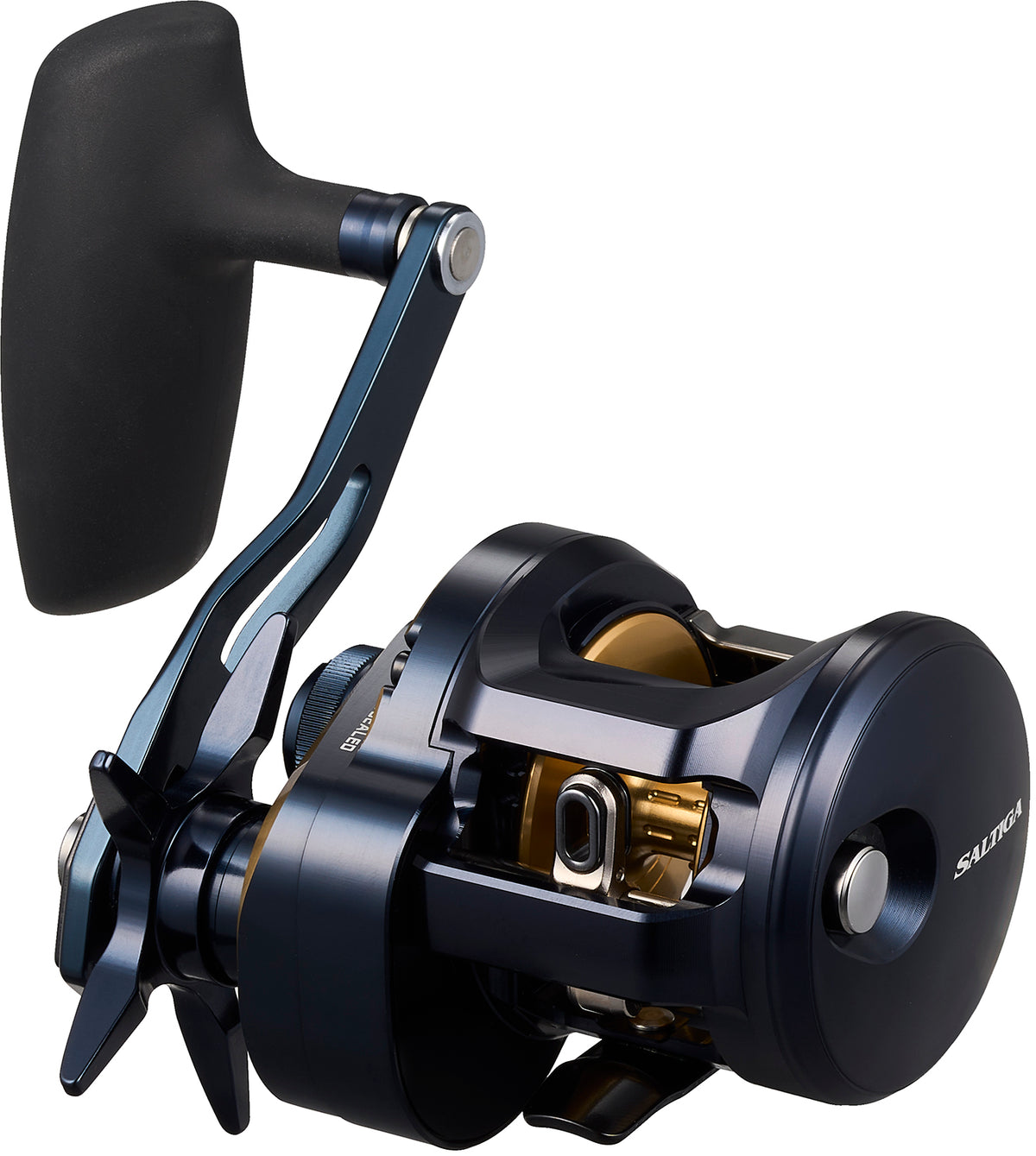 SALTIGA 300 (25) - DAIWA