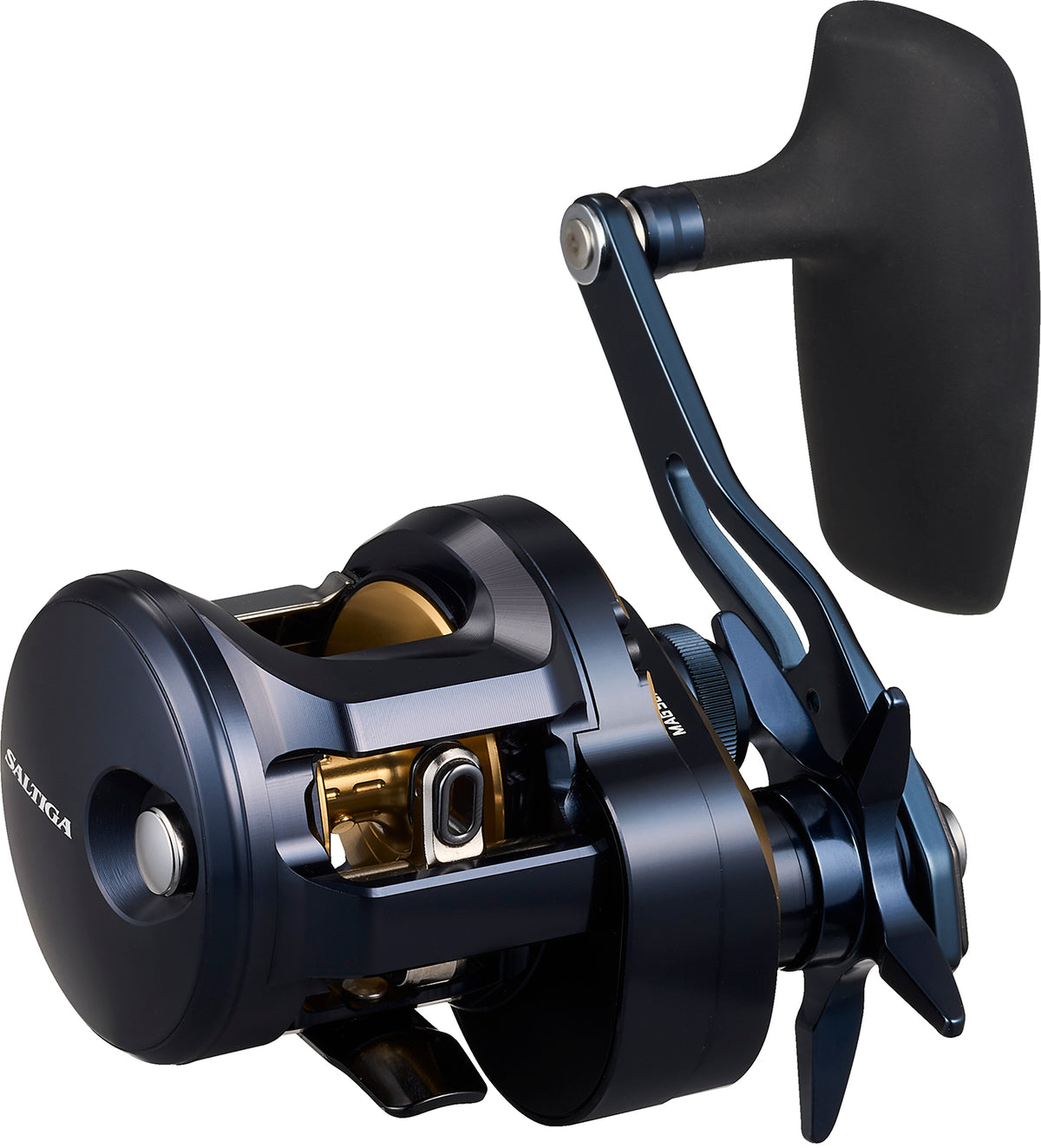 SALTIGA 300 (25) - DAIWA