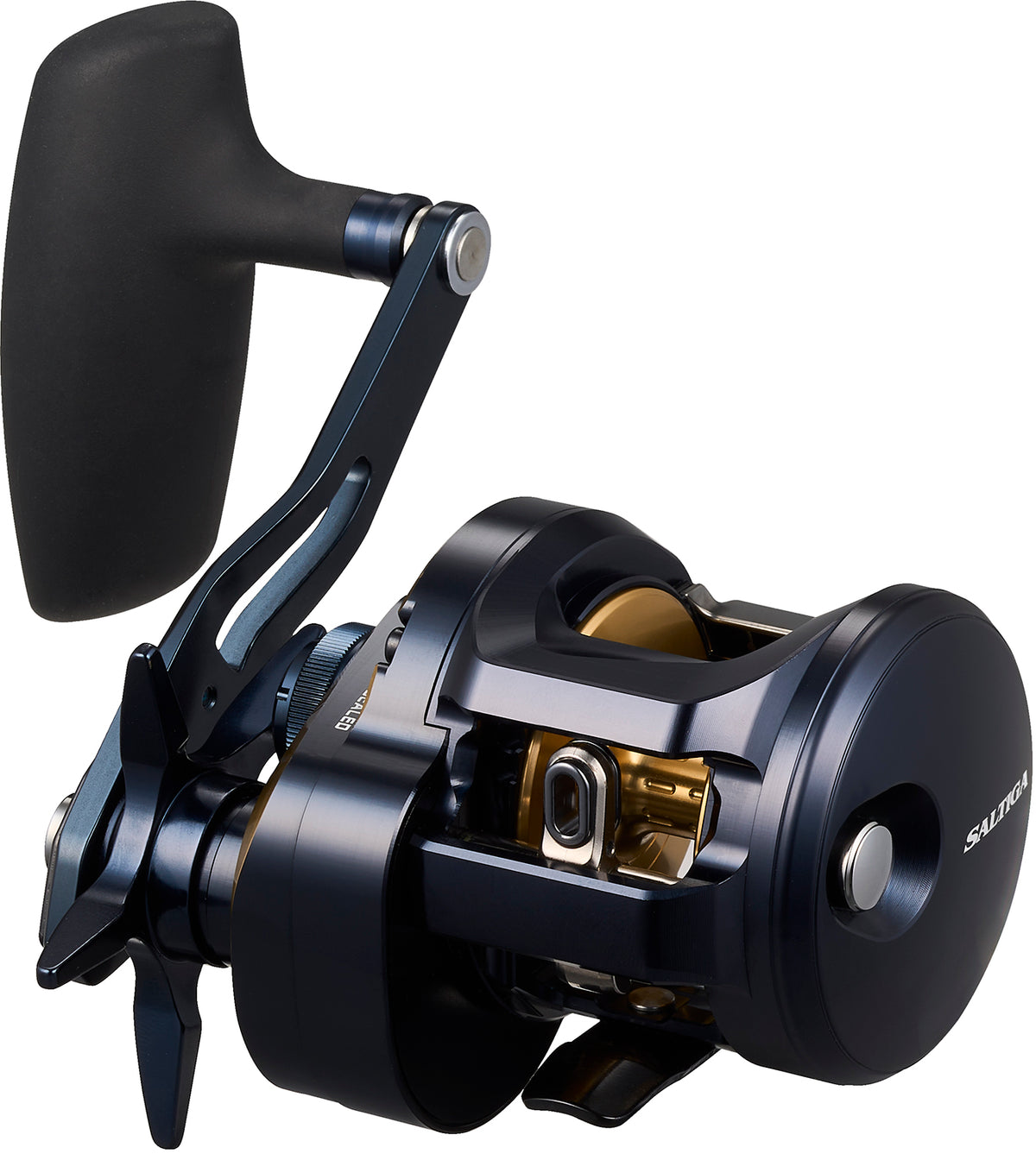 SALTIGA 300 (25) - DAIWA