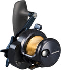 SALTIGA 10/10-SJ (25) - DAIWA