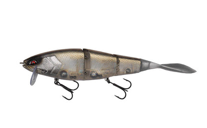 Grace 210L - Galápagos