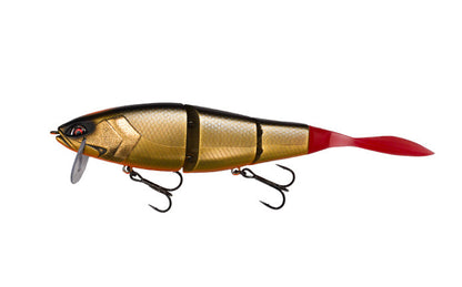 Grace 210L - Galápagos