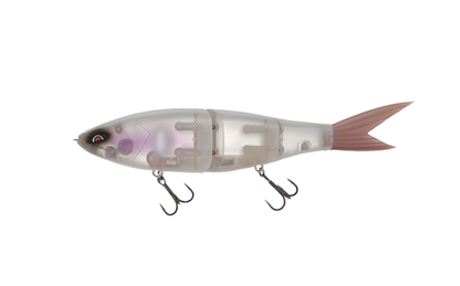 Grace 280 - Galápagos