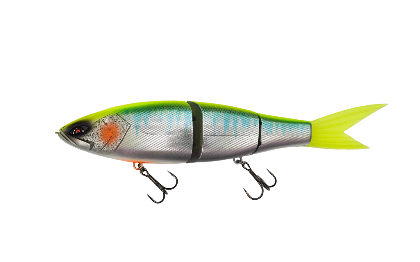 Grace 280 - Galápagos