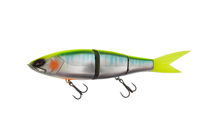 Grace 280 - Galápagos