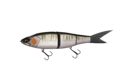 Grace 280 - Galápagos