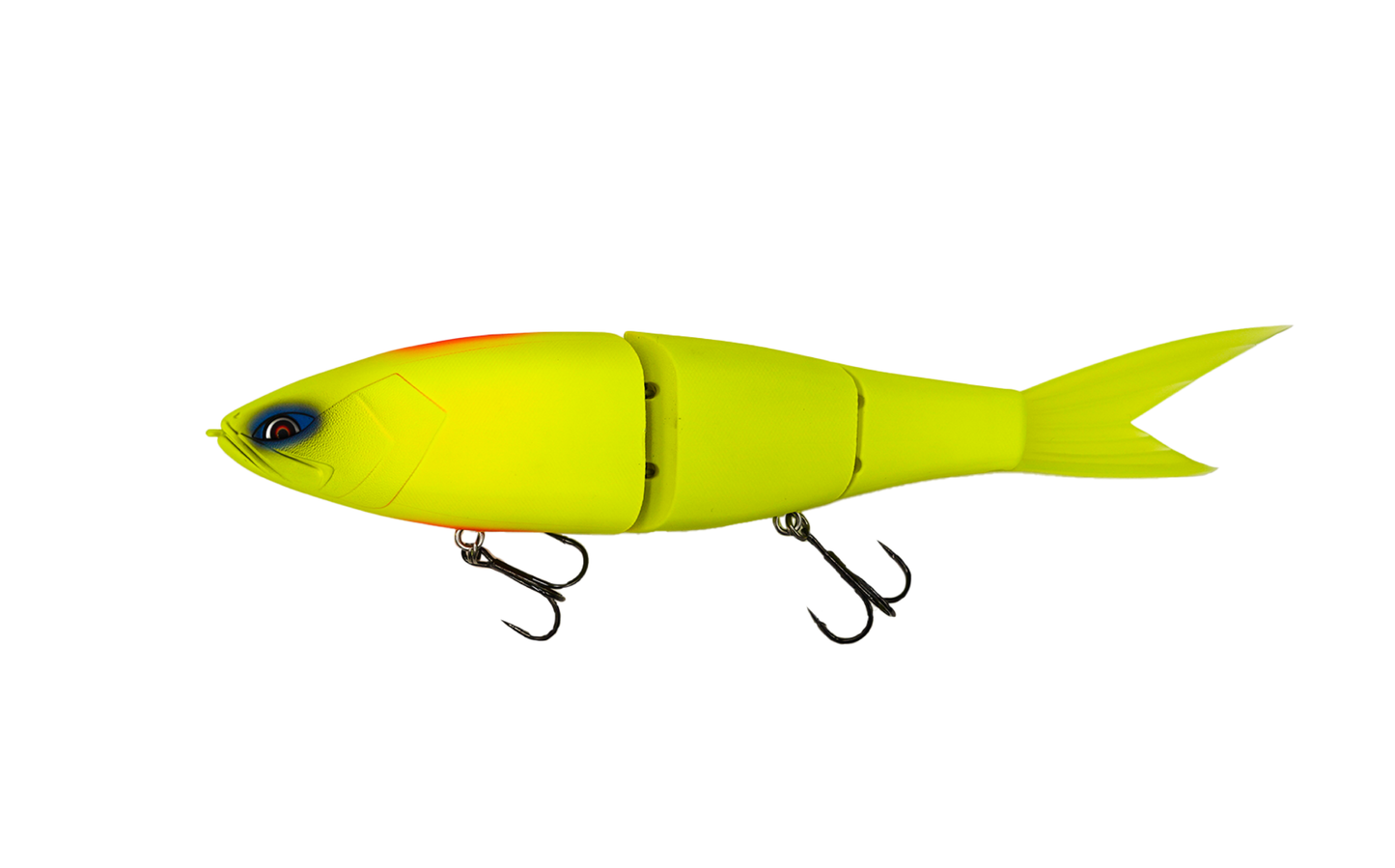 Grace 280 - Galápagos