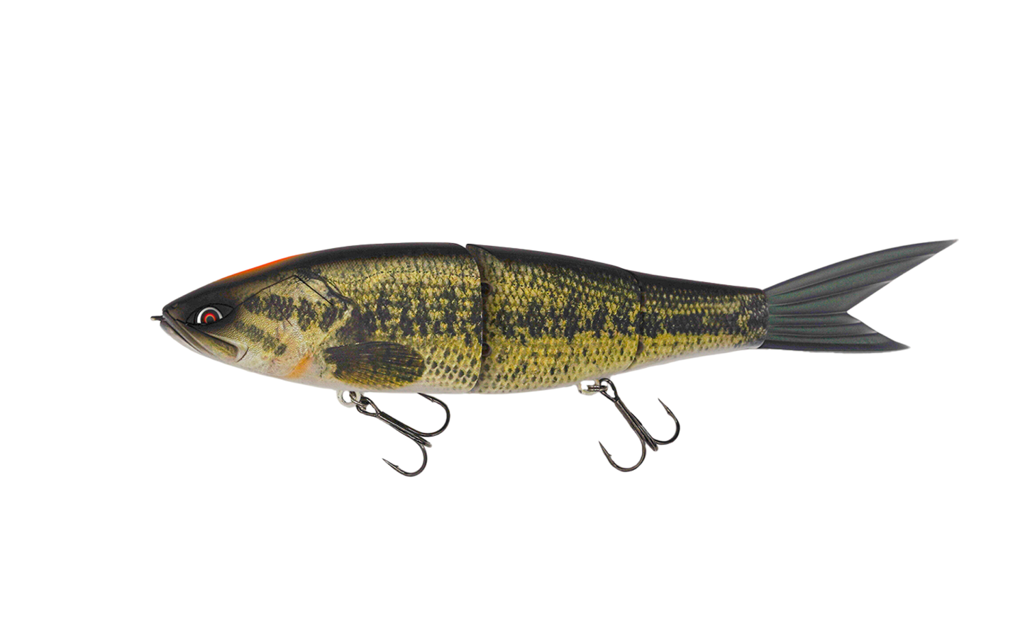 Grace 280 - Galápagos