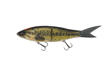 Grace 280 - Galápagos