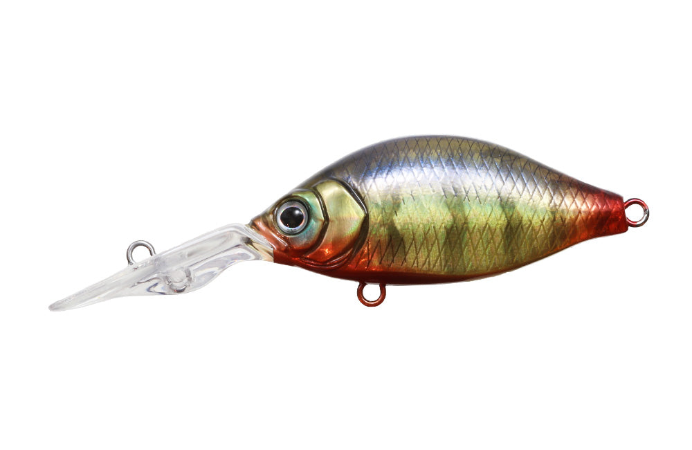 G.C. Kanehira Shad 46MR-SP - ISSEI