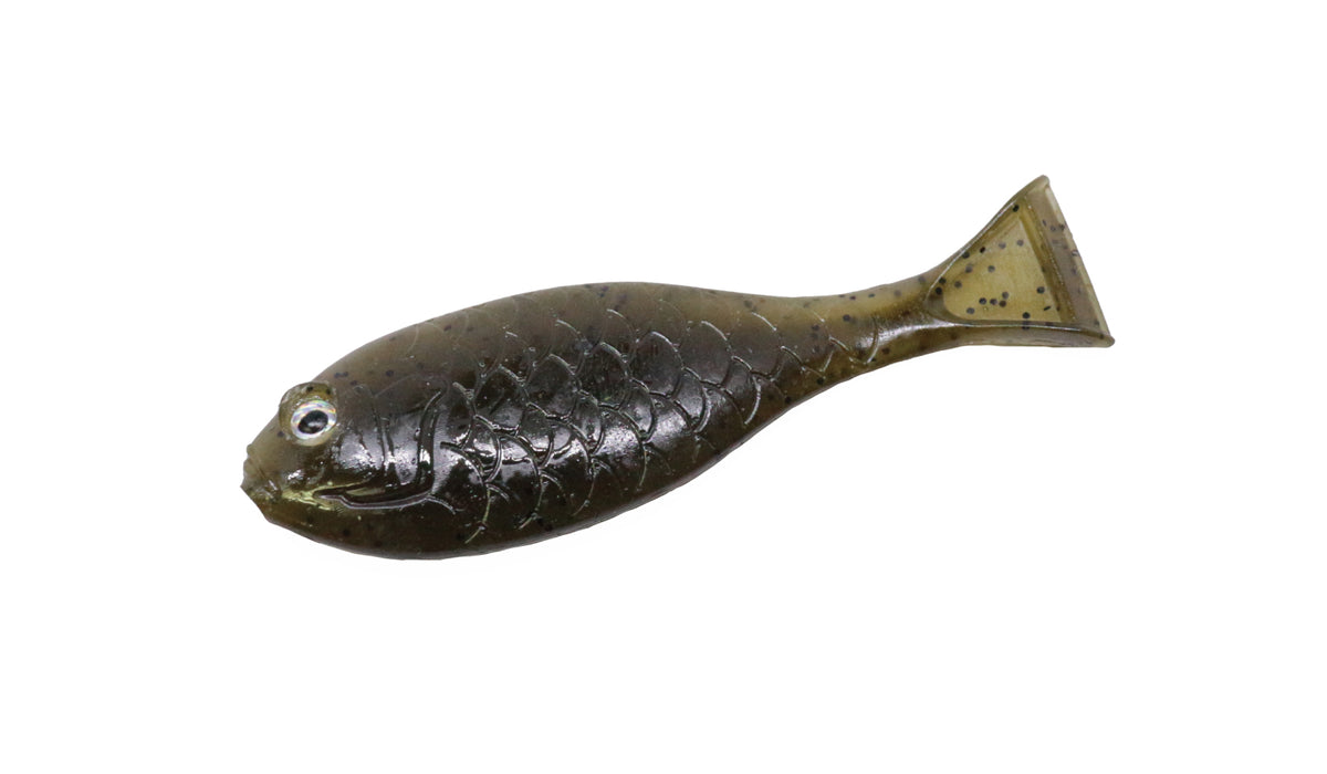 Baby Gill Fin 2 - ENGINE