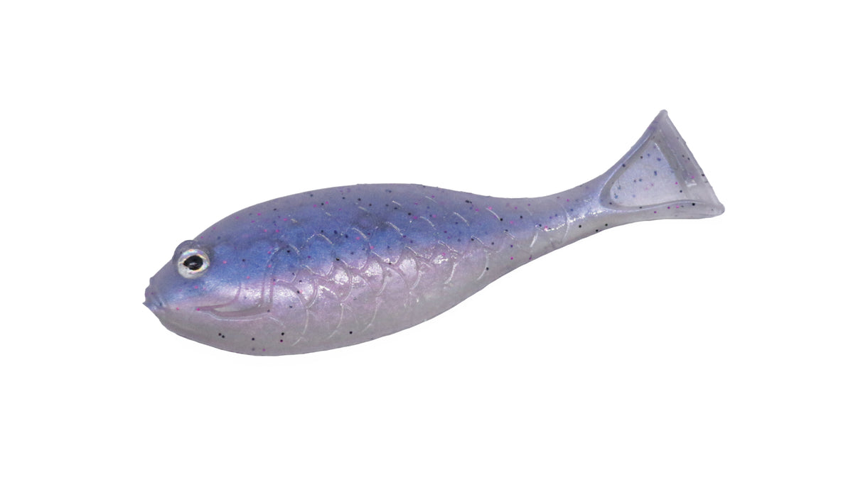 Baby Gill Fin 2 - ENGINE