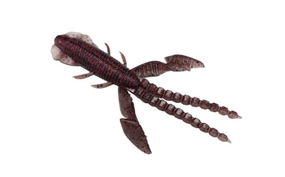 Empel Bug - Galápagos