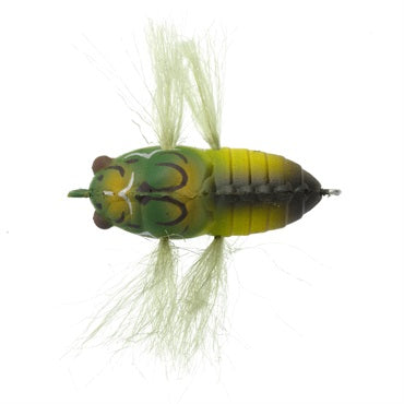 Soft Shell Tiny Cicada - TIEMCO
