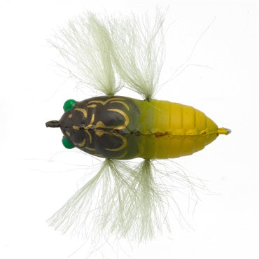 Soft Shell Tiny Cicada - TIEMCO