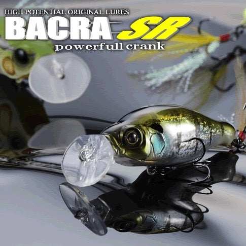 BACRA SR - GAN CRAFT