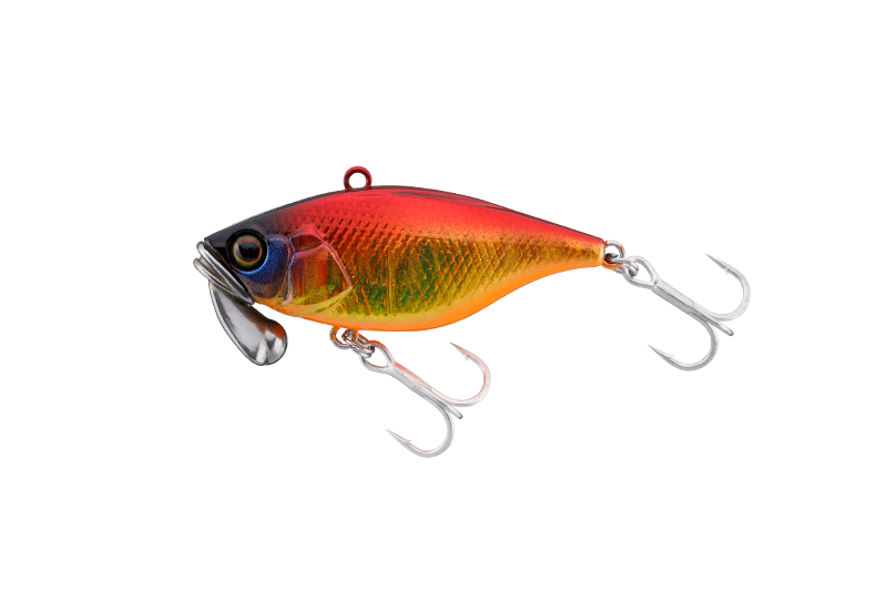 TN/38 TRIGON KURODAI SPECIAL - JACKALL