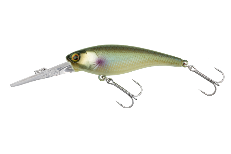 SOUL SHAD - JACKALL