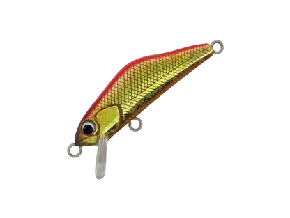 HARDSTREAMS T-Gravits - IVYLINE