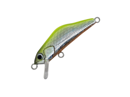 HARDSTREAMS T-Gravits - IVYLINE