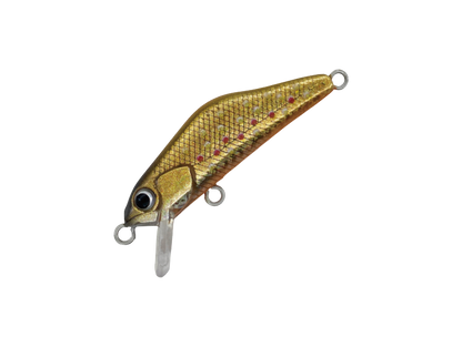 HARDSTREAMS T-Gravits - IVYLINE