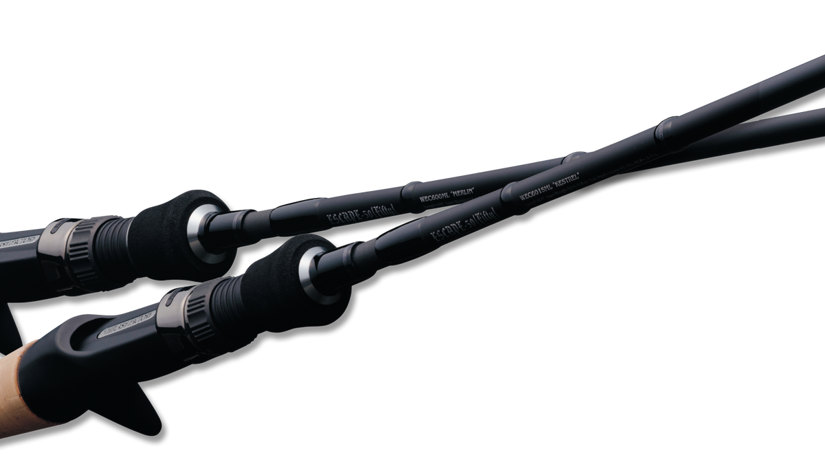 Whiplash Factory Escape-50 - Valleyhill