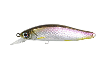 G.C. Minnow 55SR-F - ISSEI