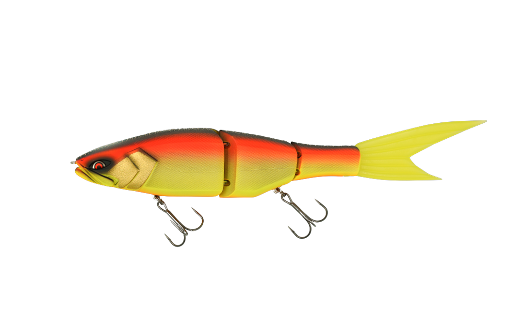 Grace 240F - Galápagos