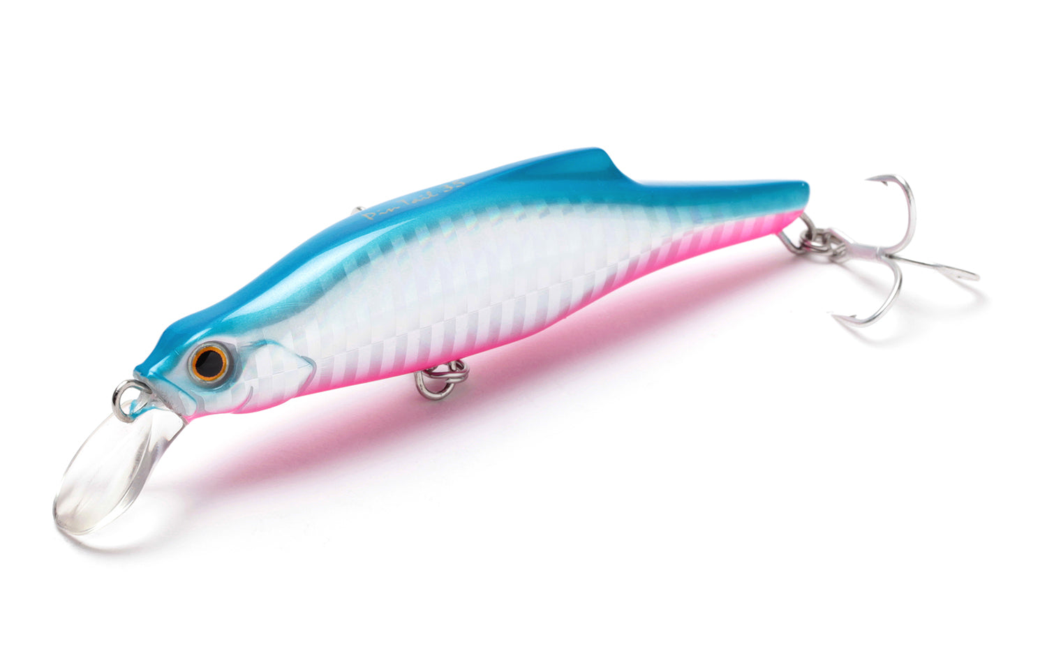 PinTail 35 - Jackson