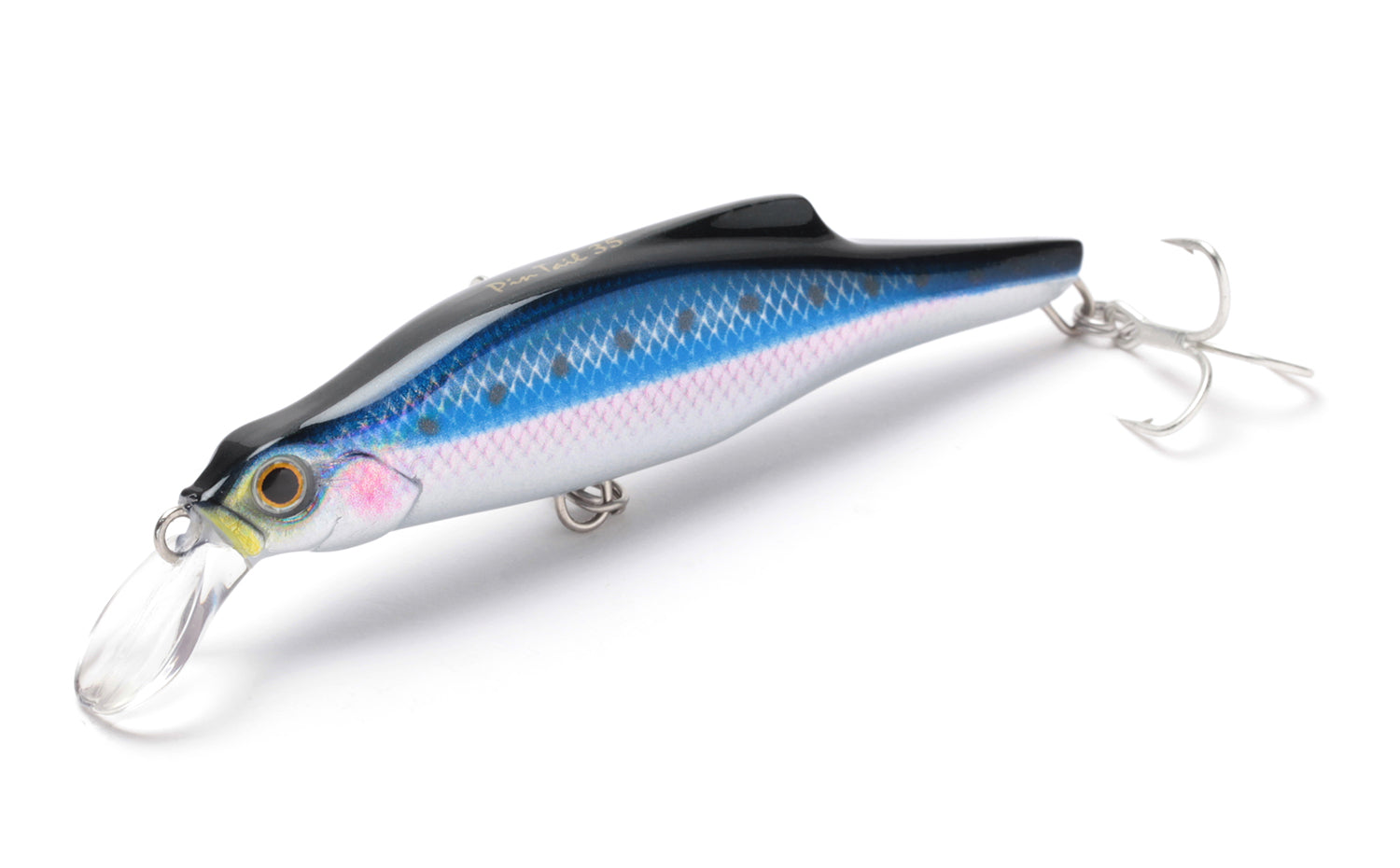 PinTail 35 - Jackson
